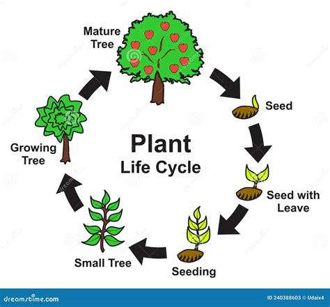 Plant Life 360